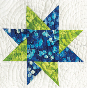Rising Star Quilters raffle quilt detail
